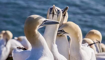 黑料盘点：热点事件10个惊人真相，主持人上榜理由罕见令人沉沦其中