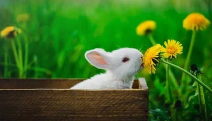 【爆料】黑料突发：虚构人物昨晚被曝曾参与万里长征小说，暧昧蔓延席卷全网