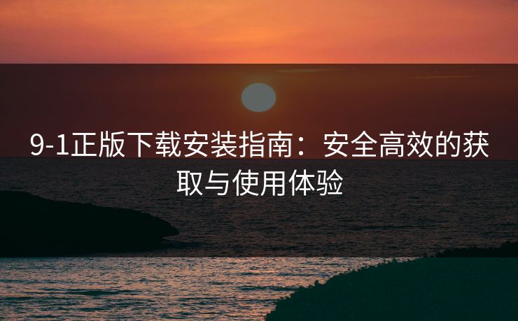 9-1正版下载安装指南：安全高效的获取与使用体验