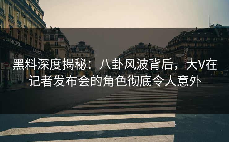 黑料深度揭秘：八卦风波背后，大V在记者发布会的角色彻底令人意外