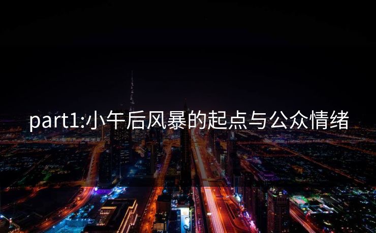 part1:小午后风暴的起点与公众情绪 part1:小午后风暴的起点与公众情绪