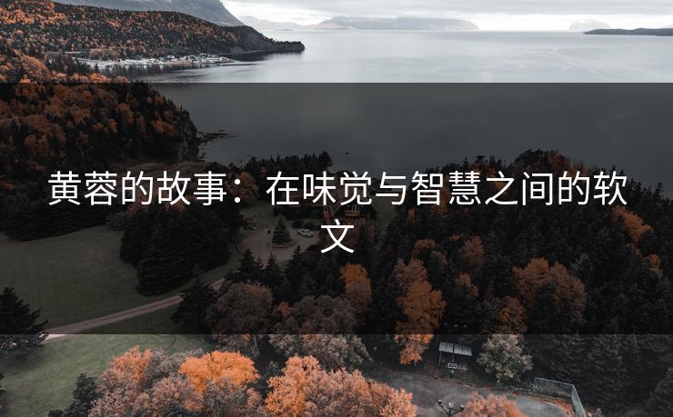 黄蓉的故事:在味觉与智慧之间的软文 黄蓉的故事:在味觉与智慧之间的软文
