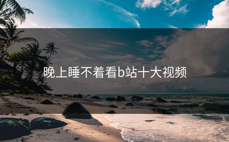 晚上睡不着看b站十大视频