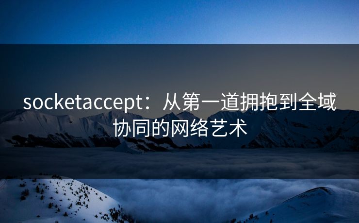 socketaccept：从第一道拥抱到全域协同的网络艺术