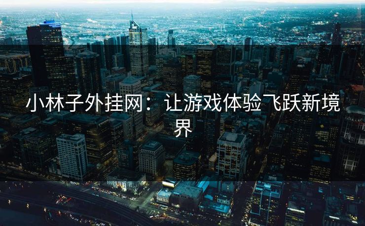 小林子外挂网：让游戏体验飞跃新境界