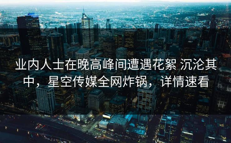 业内人士在晚高峰间遭遇花絮 沉沦其中，星空传媒全网炸锅，详情速看