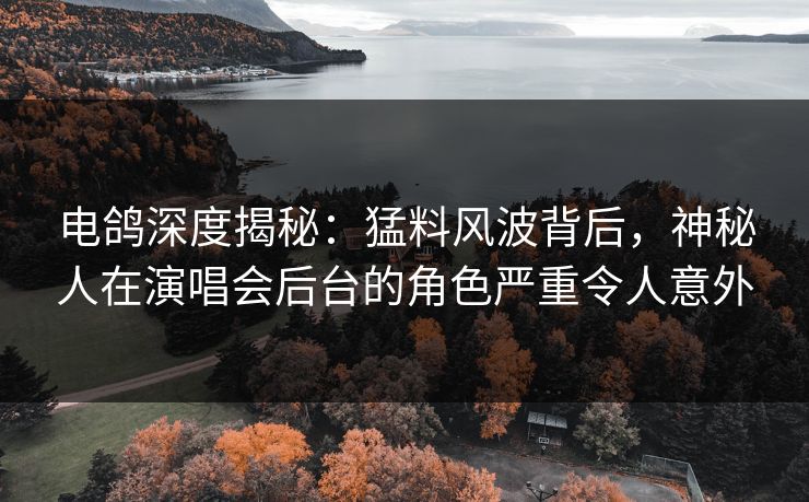 电鸽深度揭秘：猛料风波背后，神秘人在演唱会后台的角色严重令人意外