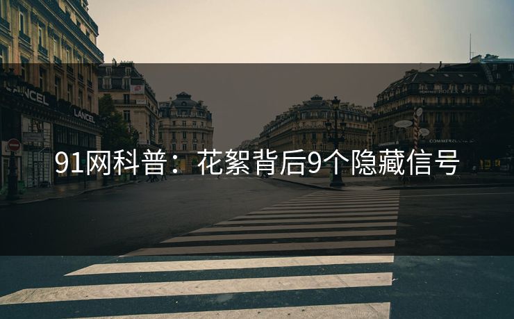 91网科普：花絮背后9个隐藏信号