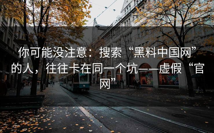 你可能没注意：搜索“黑料中国网”的人，往往卡在同一个坑——虚假“官网”